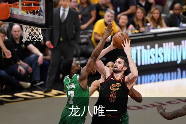 龙八唯一 公司简介